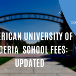 American University of Nigeria School Fees