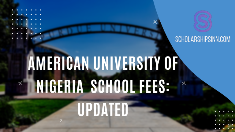 American University of Nigeria School Fees