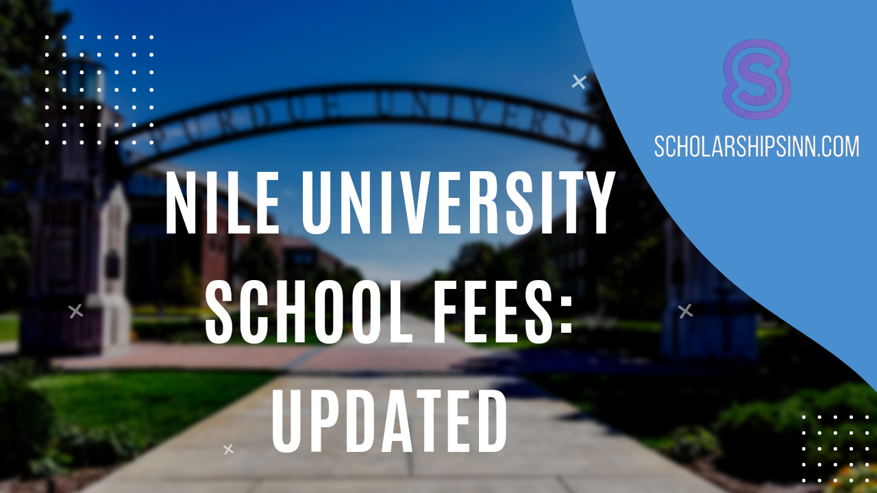 Nile University School Fees