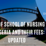 List of School of Nursing in Nigeria and their Fees