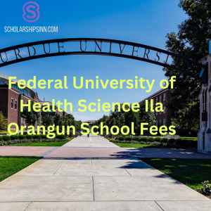 Federal University of Health Science Ila Orangun School Fees
