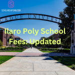 Ilaro Poly School Fees