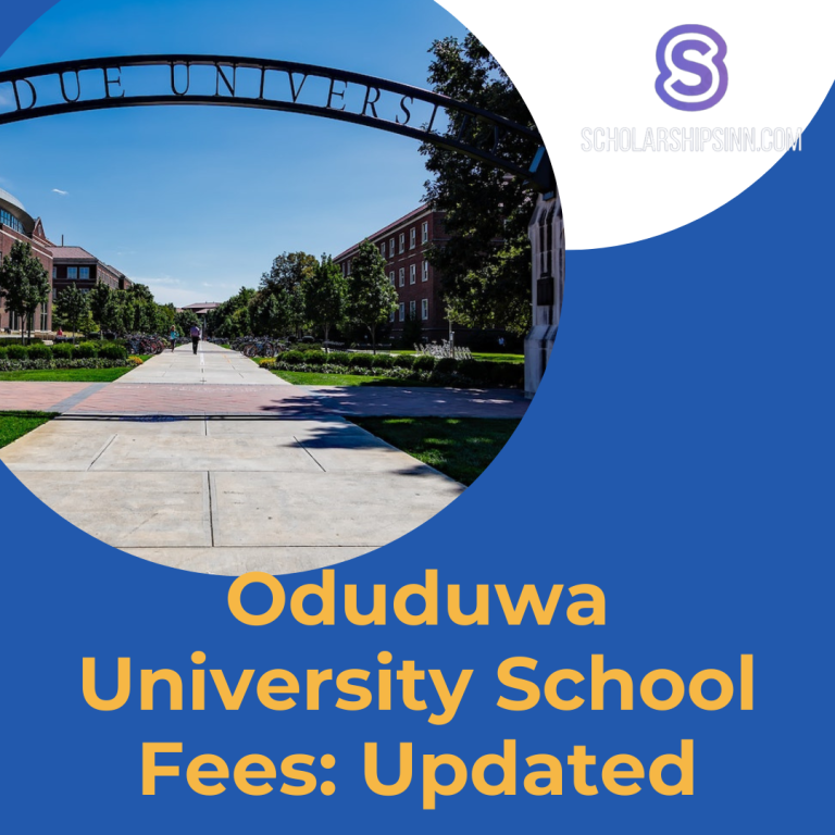 Oduduwa University School Fees