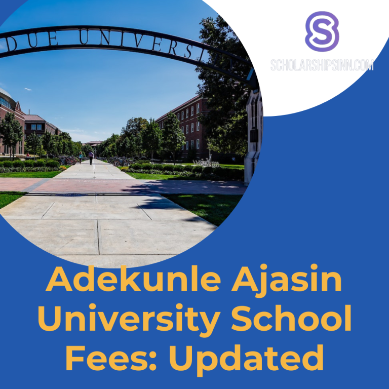 Adekunle Ajasin University School Fees